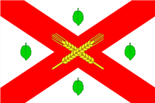 Flag of Dondușeni