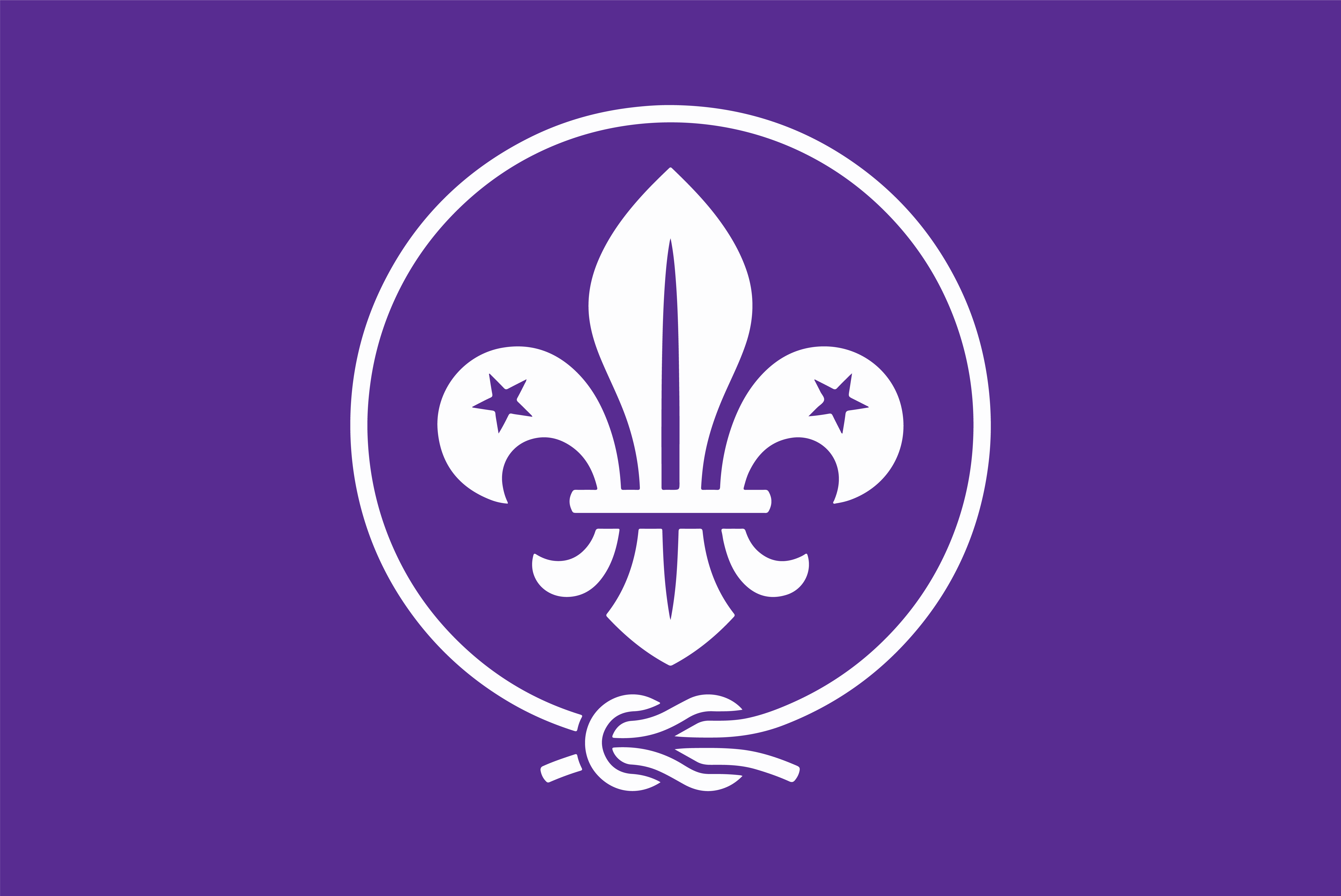 World Scout Movement