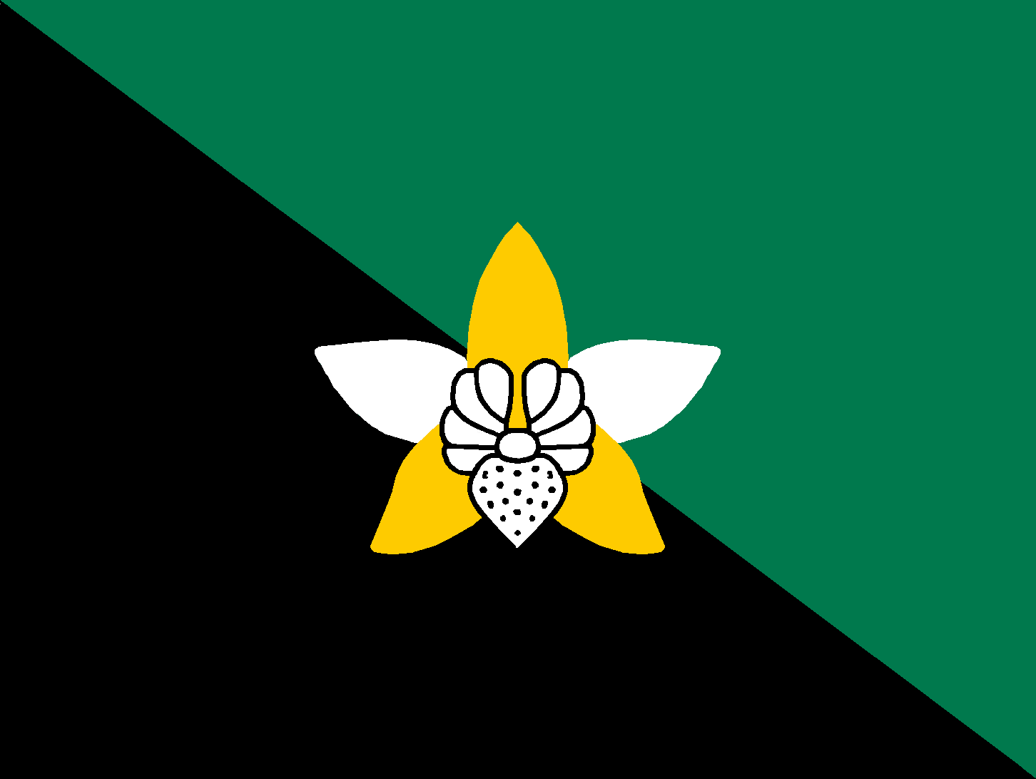 Flag of Enga