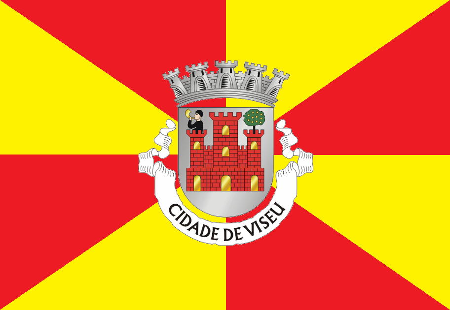 Flag of Viseu