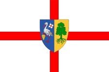 Flag of Orhei