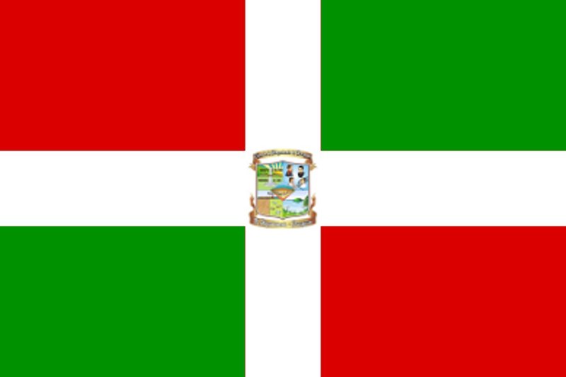 Flag of Paraguarí