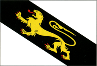 Flag of Leova