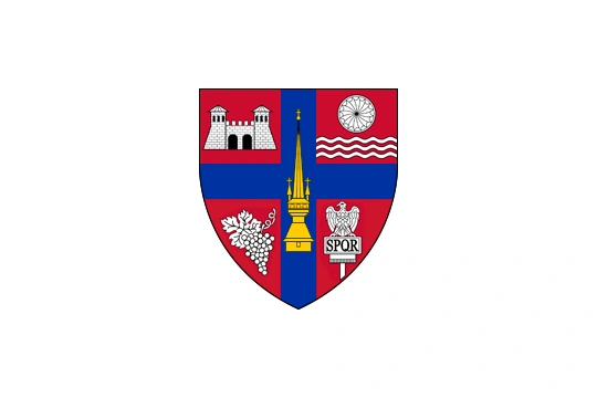 Flag of Sălaj