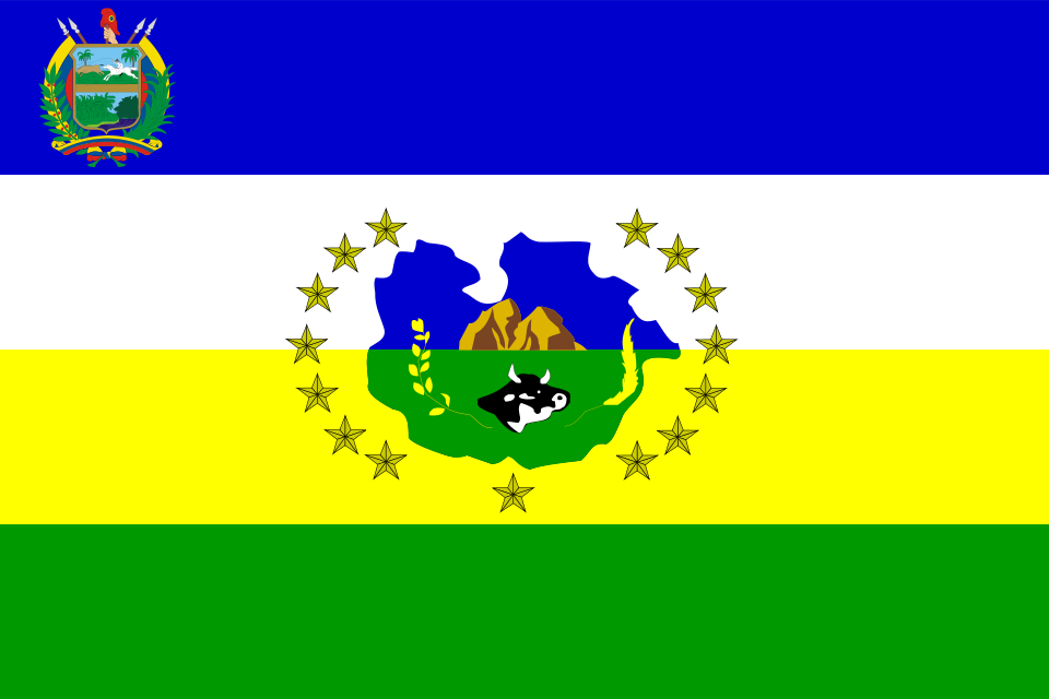 Flag of Guárico