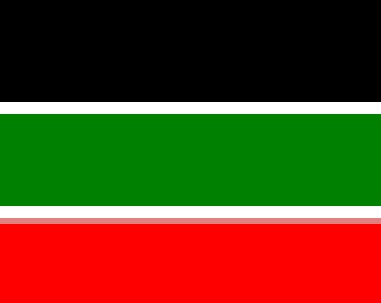 Flag of Nord-Est