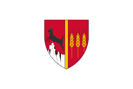 Flag of Neamț