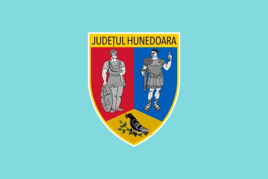 Flag of Hunedoara