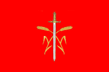 Flag of Ocnița
