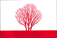 Flag of Sîngerei