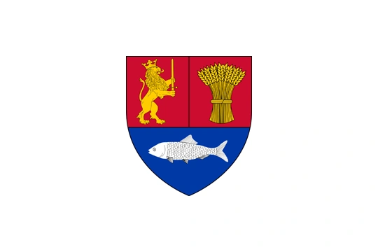 Flag of Dolj
