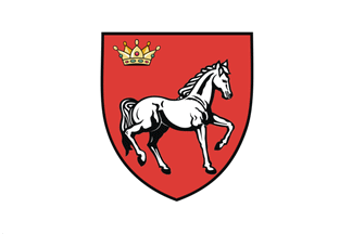 Flag of Iași