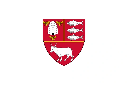 Flag of Vaslui