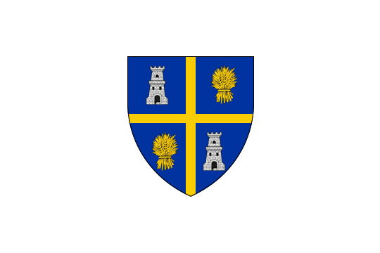 Flag of Olt