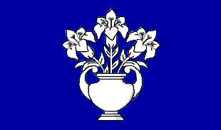 Flag of Dundee City