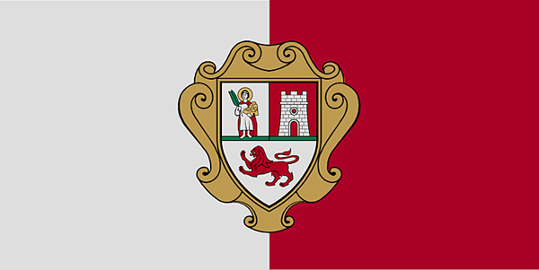 Flag of Kotor