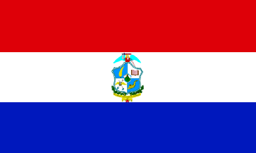 Flag of San Miguel