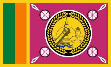 Flag of North Central